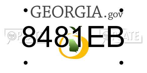 8481EB Georgia License Plate