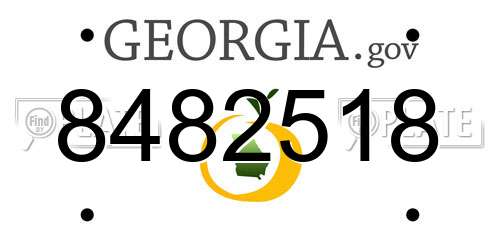 8482518 Georgia License Plate