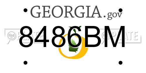 8486BM Georgia License Plate