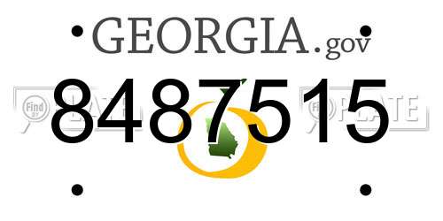 8487515 Georgia License Plate