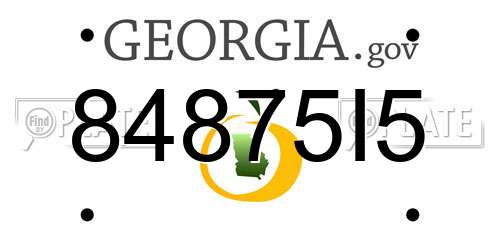 84875I5 Georgia License Plate