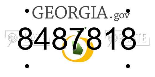 8487818 Georgia License Plate