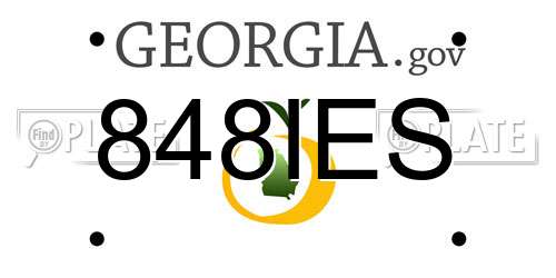 848IES Georgia License Plate