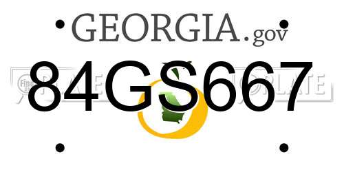 84GS667 Georgia License Plate