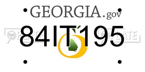 84IT195 Georgia License Plate