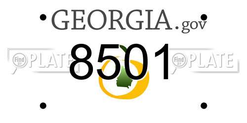 8501 Georgia License Plate