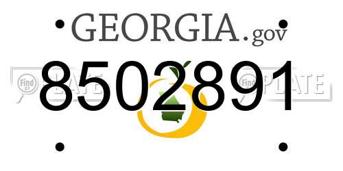 8502891 Georgia License Plate
