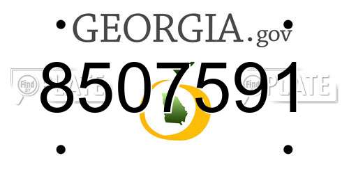 8507591 Georgia License Plate