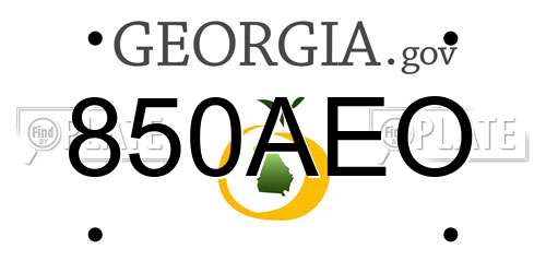 850AEO Georgia License Plate