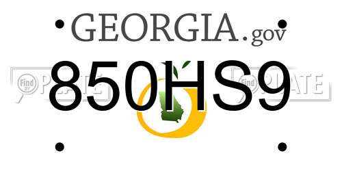 850HS9 Georgia License Plate
