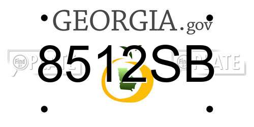 8512SB Georgia License Plate