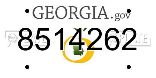 8514262 Georgia License Plate