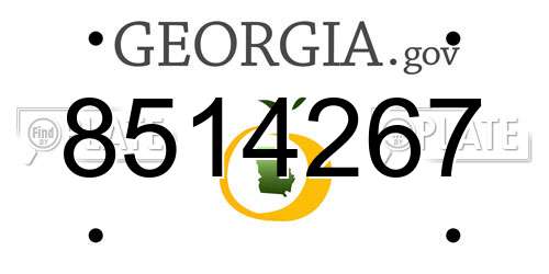 8514267 Georgia License Plate