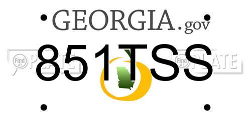 851TSS Georgia License Plate