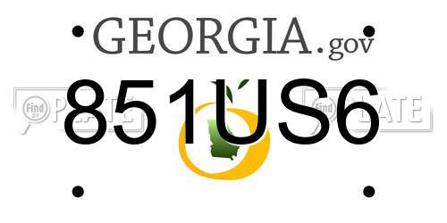 851US6 Georgia License Plate