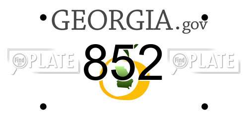 852 Georgia License Plate