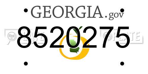 8520275 Georgia License Plate