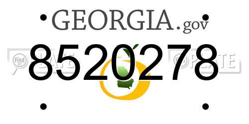 8520278 Georgia License Plate