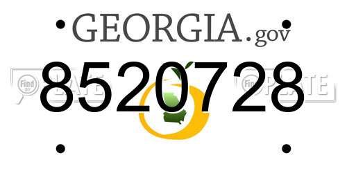 8520728 Georgia License Plate