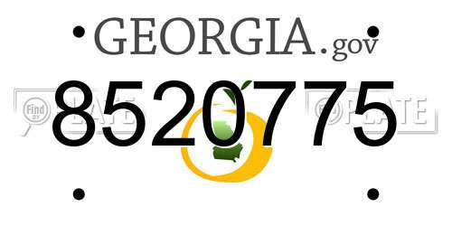 8520775 Georgia License Plate
