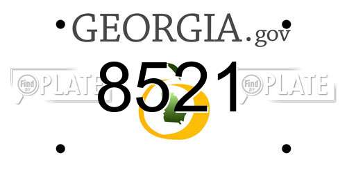 8521 Georgia License Plate
