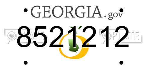 8521212 Georgia License Plate