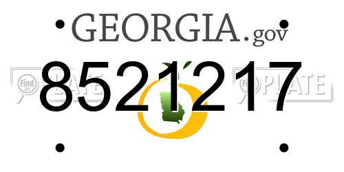 8521217 Georgia License Plate
