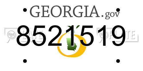 8521519 Georgia License Plate