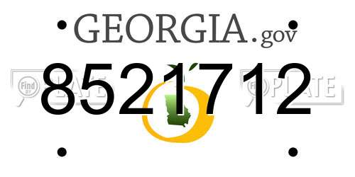 8521712 Georgia License Plate