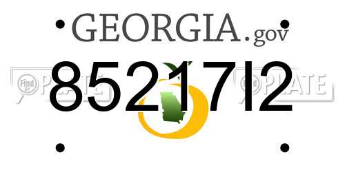 85217I2 Georgia License Plate