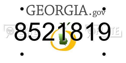 8521819 Georgia License Plate