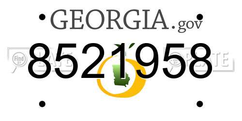 8521958 Georgia License Plate