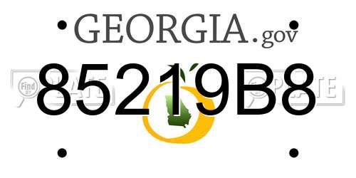 85219B8 Georgia License Plate