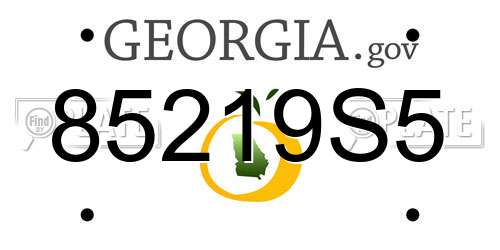 85219S5 Georgia License Plate