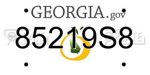 85219S8 Georgia License Plate