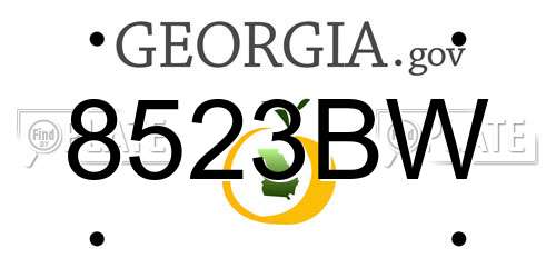 8523BW Georgia License Plate