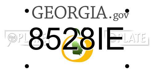 8528IE Georgia License Plate