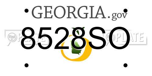 8528SO Georgia License Plate