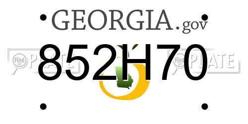 852H70 Georgia License Plate