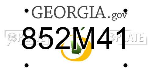852M41 Georgia License Plate