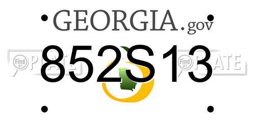 852S13 Georgia License Plate