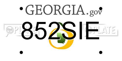 852SIE Georgia License Plate