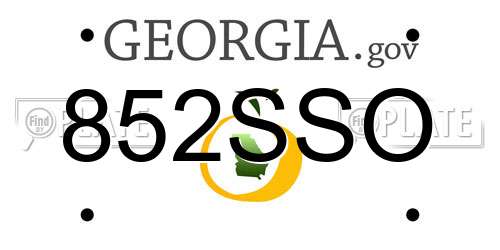 852SSO Georgia License Plate