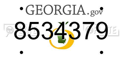 8534379 Georgia License Plate
