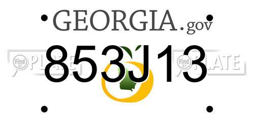 853J13 Georgia License Plate