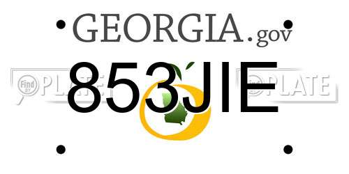 853JIE Georgia License Plate