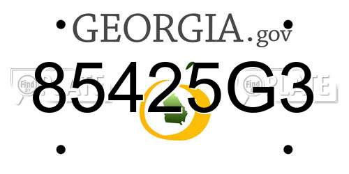 85425G3 Georgia License Plate