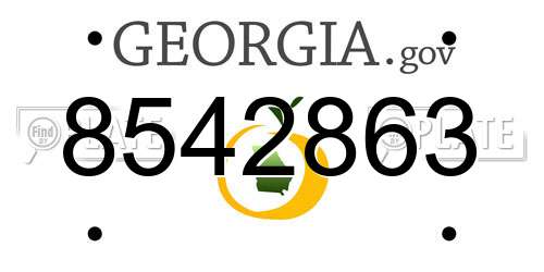 8542863 Georgia License Plate