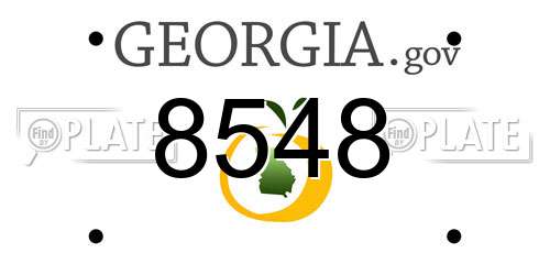 8548 Georgia License Plate