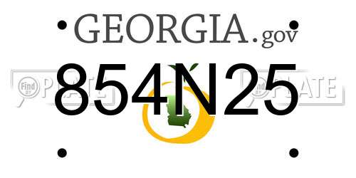 854N25 Georgia License Plate
